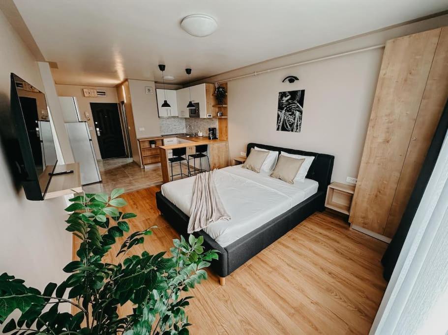 Agoll Victoria - Self Checkin Apartment Resita Bagian luar foto
