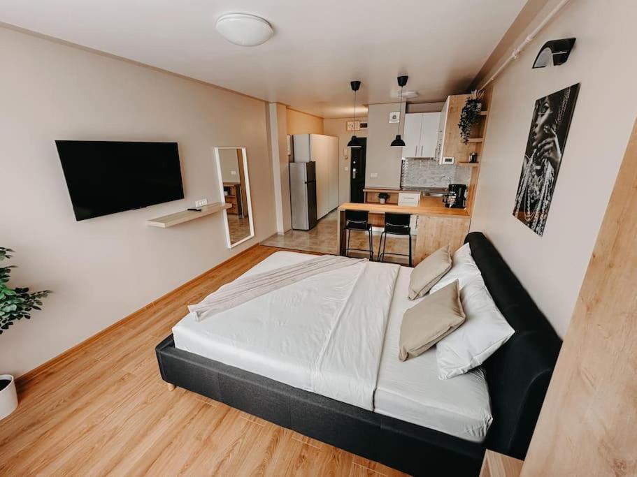 Agoll Victoria - Self Checkin Apartment Resita Bagian luar foto
